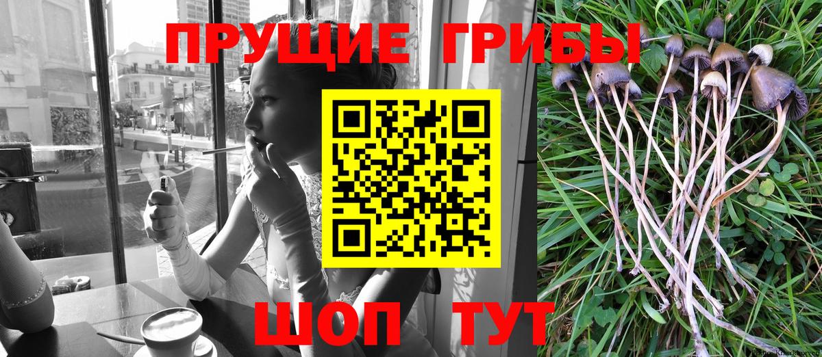 Кыштым  Галлюциногенные грибы Magic Shrooms  Вход с VPN 