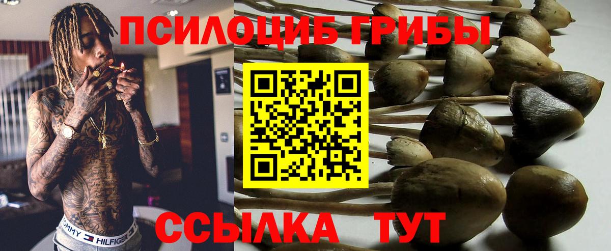 Псилоцибиновые грибы ЛСД Кыштым